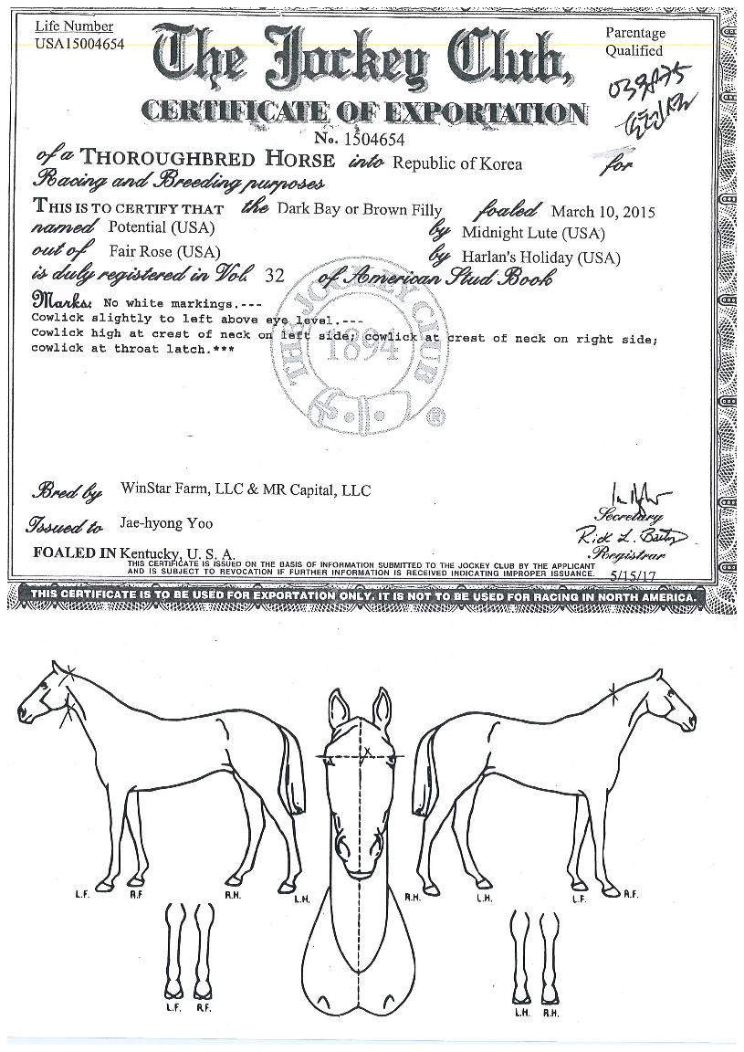 ���ټ��� ����,���,�޸�,�λ�,�ٸ��� Ư¡����