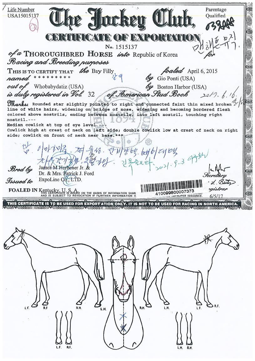 ����ư������ ����,���,�޸�,�λ�,�ٸ��� Ư¡����