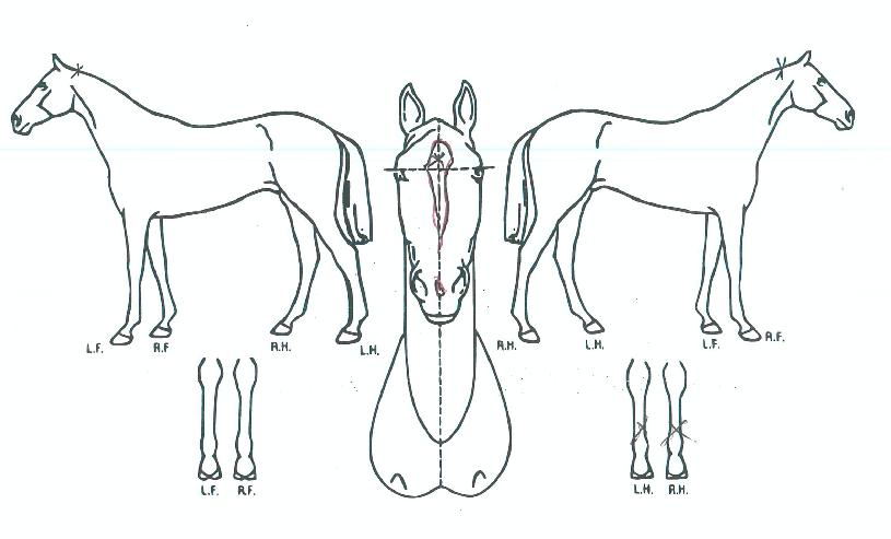 ���̽������ ����,���,�޸�,�λ�,�ٸ��� Ư¡����