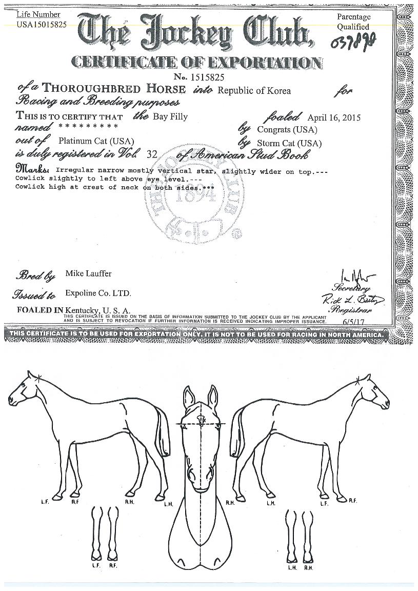 Á¦Æ®½ºÄ«ÀÌÀÇ Ãø¸é,¿ì¸é,µÞ¸é,µÎ»ó,´Ù¸®ÀÇ Æ¯Â¡µµÇØ