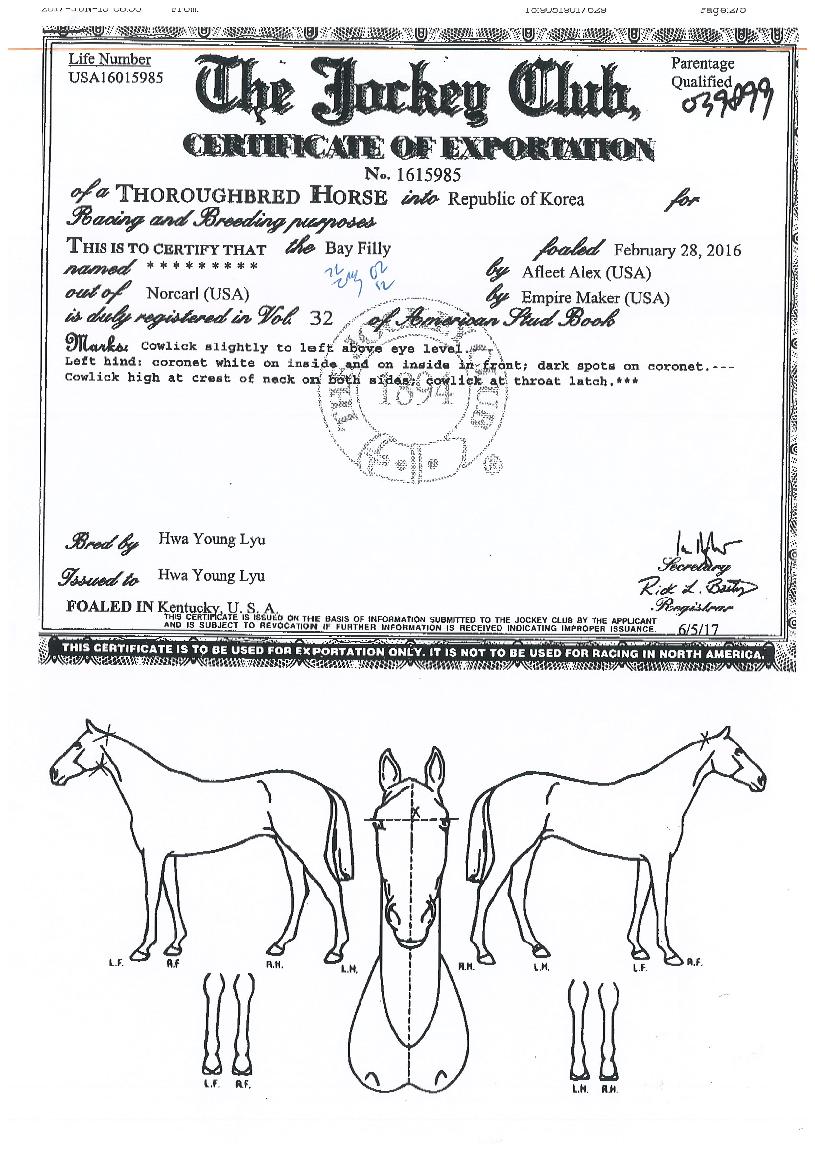 ¹Ù¶÷ÀǾà¼ÓÀÇ Ãø¸é,¿ì¸é,µÞ¸é,µÎ»ó,´Ù¸®ÀÇ Æ¯Â¡µµÇØ