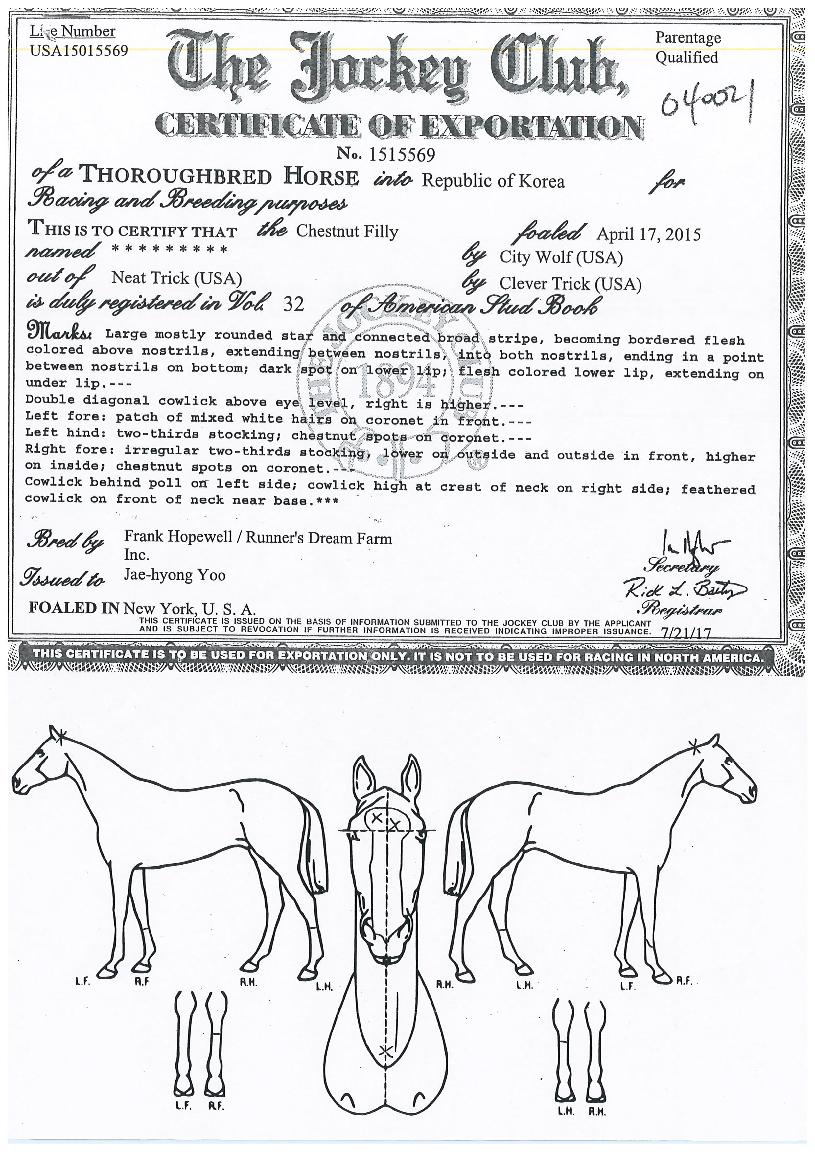 ���ڸ��� ����,���,�޸�,�λ�,�ٸ��� Ư¡����