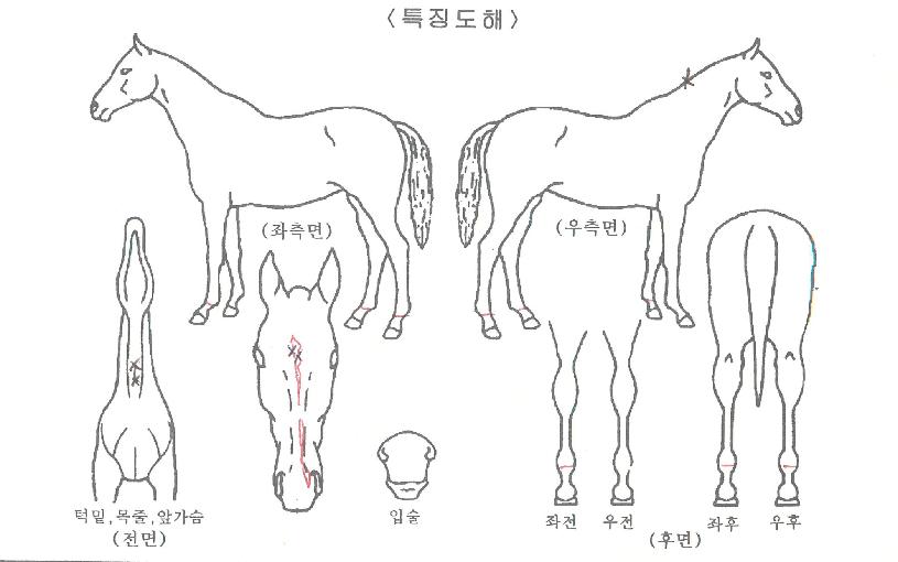 ����Ƽ������ ����,���,�޸�,�λ�,�ٸ��� Ư¡����