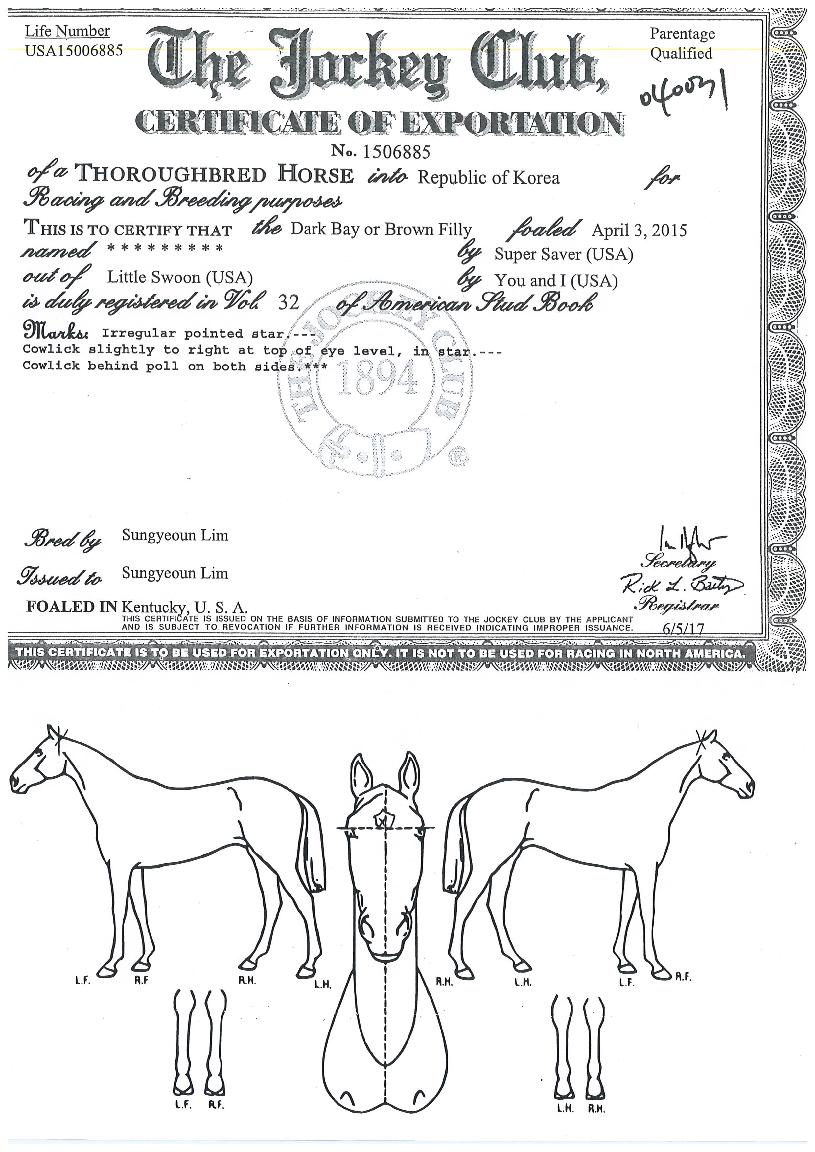 ºÎȰÀǼû°áÀÇ Ãø¸é,¿ì¸é,µÞ¸é,µÎ»ó,´Ù¸®ÀÇ Æ¯Â¡µµÇØ