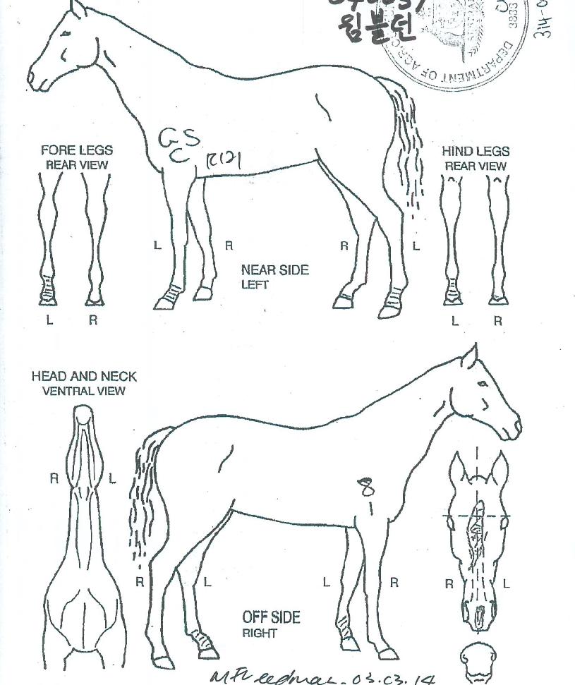 À«ºí´øÀÇ Ãø¸é,¿ì¸é,µÞ¸é,µÎ»ó,´Ù¸®ÀÇ Æ¯Â¡µµÇØ