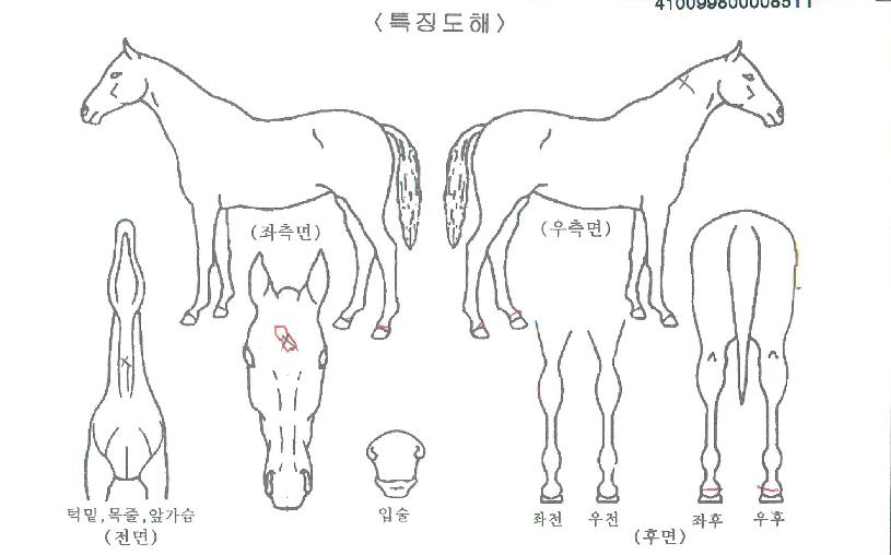Áö±¸·ÂÆÈÆÈÀÇ Ãø¸é,¿ì¸é,µÞ¸é,µÎ»ó,´Ù¸®ÀÇ Æ¯Â¡µµÇØ