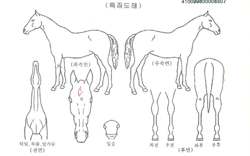 ��ٿ����� ����,���,�޸�,�λ�,�ٸ��� Ư¡����