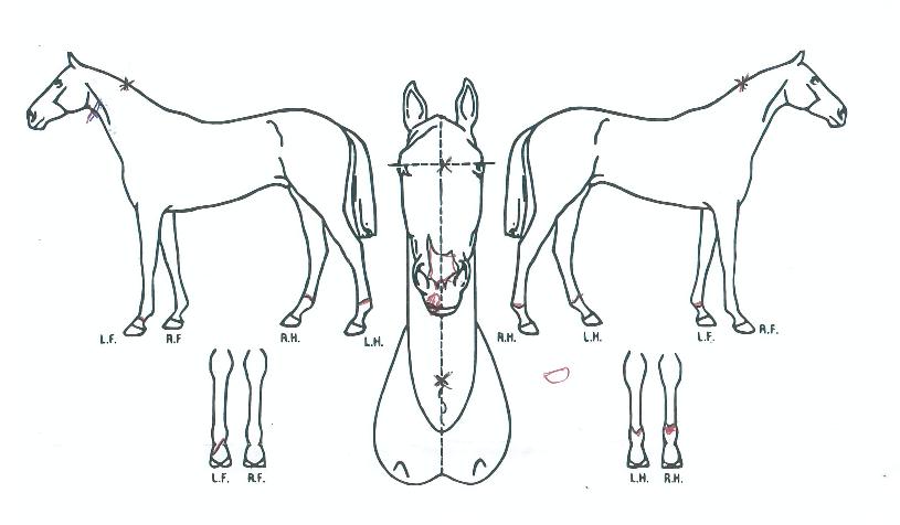 Ƽ������� ����,���,�޸�,�λ�,�ٸ��� Ư¡����