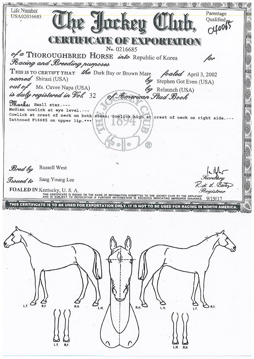 �þ������ ����,���,�޸�,�λ�,�ٸ��� Ư¡����