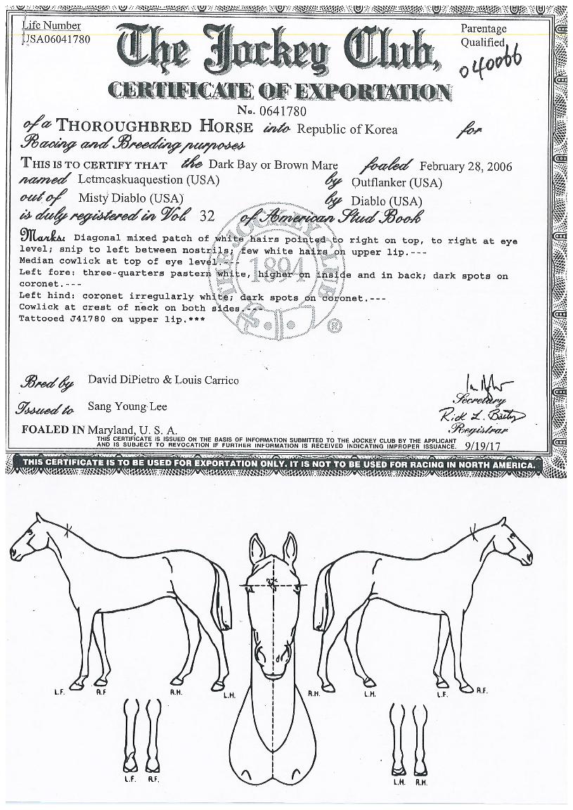 ·¿¹Ì½ºÅ¥¾îÄù½ºÃµÀÇ Ãø¸é,¿ì¸é,µÞ¸é,µÎ»ó,´Ù¸®ÀÇ Æ¯Â¡µµÇØ