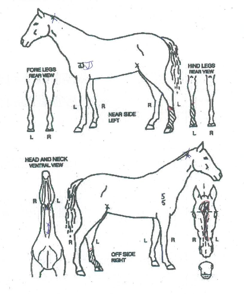 �Ŀ����̽��� ����,���,�޸�,�λ�,�ٸ��� Ư¡����