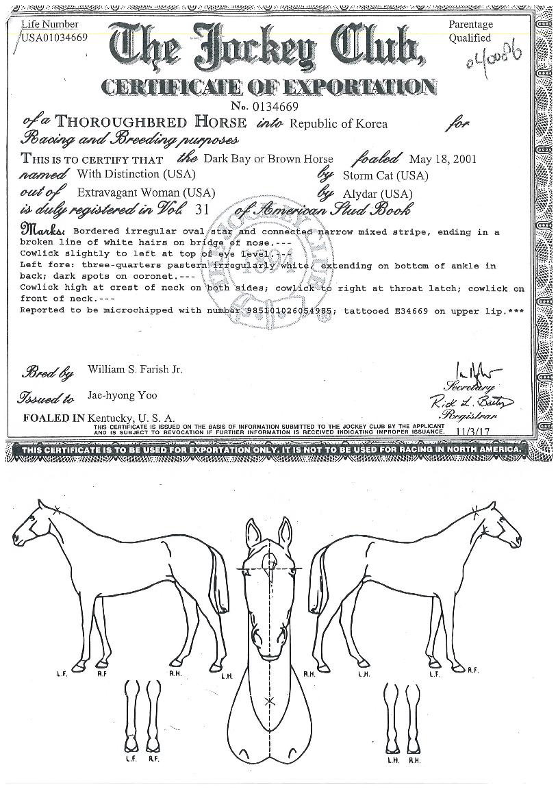 À§µåµð½ºÆÃ¼ÇÀÇ Ãø¸é,¿ì¸é,µÞ¸é,µÎ»ó,´Ù¸®ÀÇ Æ¯Â¡µµÇØ