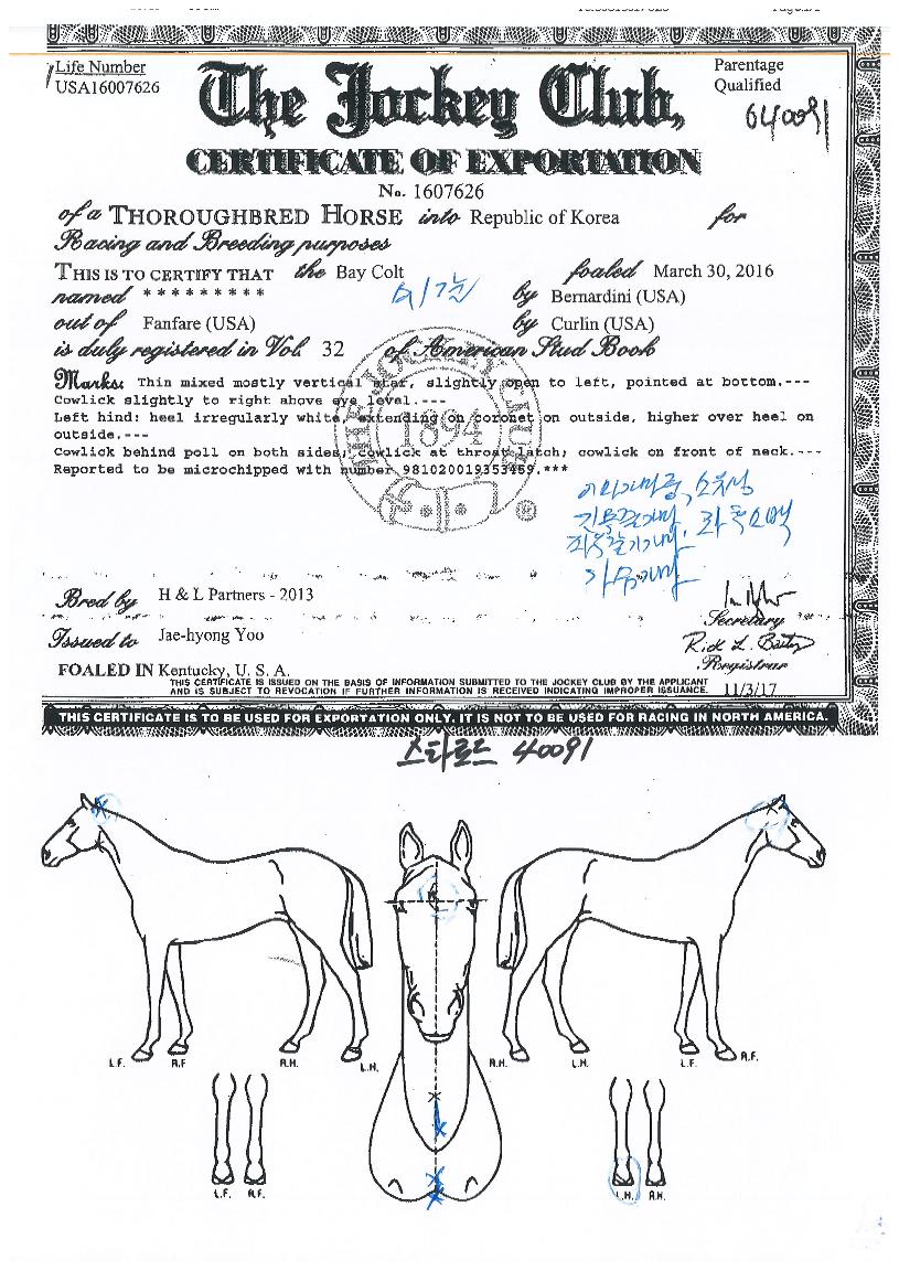 ½ºÅ¸·ÎµåÀÇ Ãø¸é,¿ì¸é,µÞ¸é,µÎ»ó,´Ù¸®ÀÇ Æ¯Â¡µµÇØ