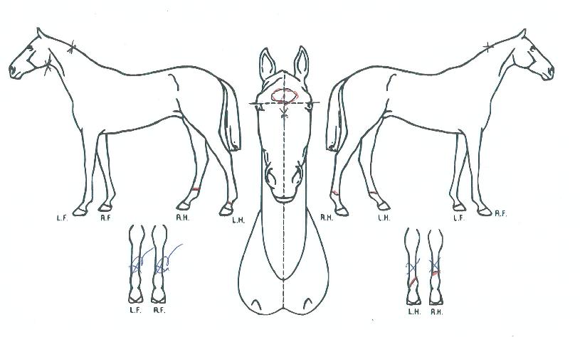 ���ֿ����� ����,���,�޸�,�λ�,�ٸ��� Ư¡����