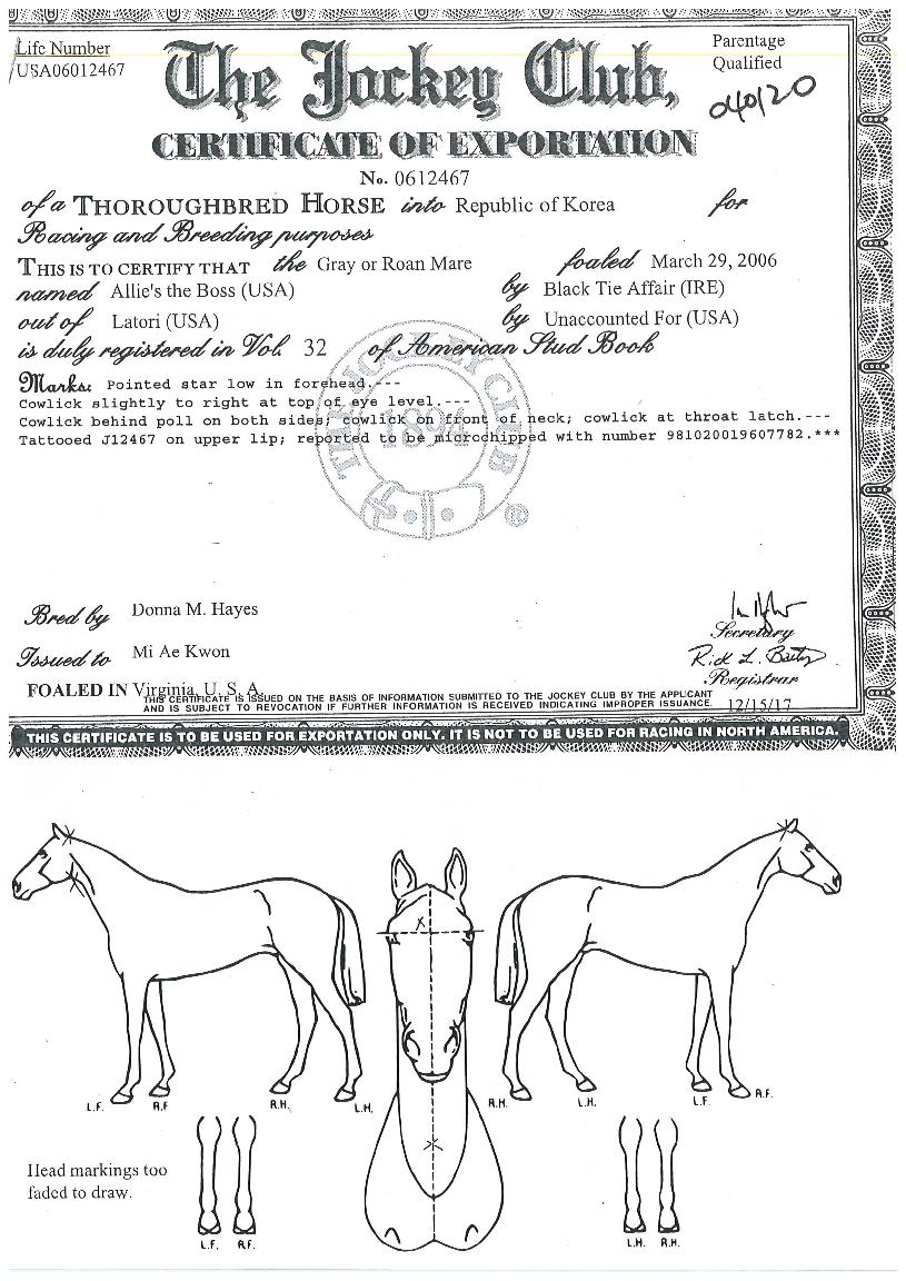 ¿¤¸®Áî´õº¸½ºÀÇ Ãø¸é,¿ì¸é,µÞ¸é,µÎ»ó,´Ù¸®ÀÇ Æ¯Â¡µµÇØ