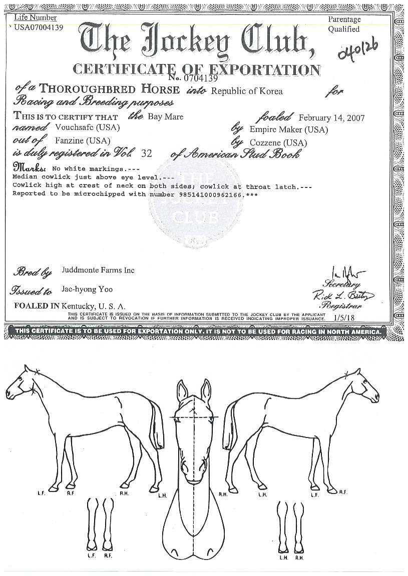 �ٿ�ġ�������� ����,���,�޸�,�λ�,�ٸ��� Ư¡����