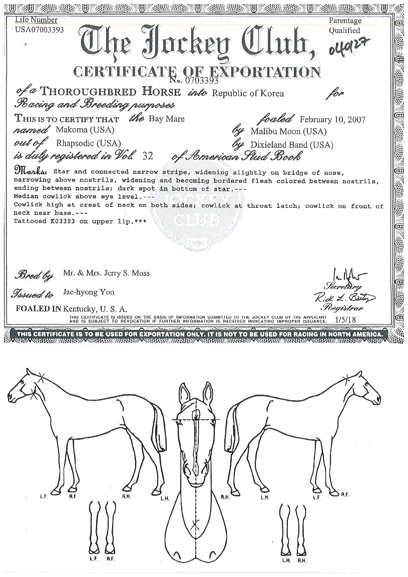 ¸¶ÄÚ¸¶ÀÇ Ãø¸é,¿ì¸é,µÞ¸é,µÎ»ó,´Ù¸®ÀÇ Æ¯Â¡µµÇØ