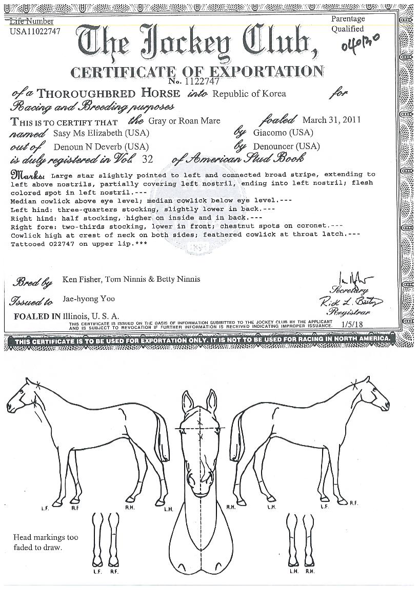 ���������ں��� ����,���,�޸�,�λ�,�ٸ��� Ư¡����