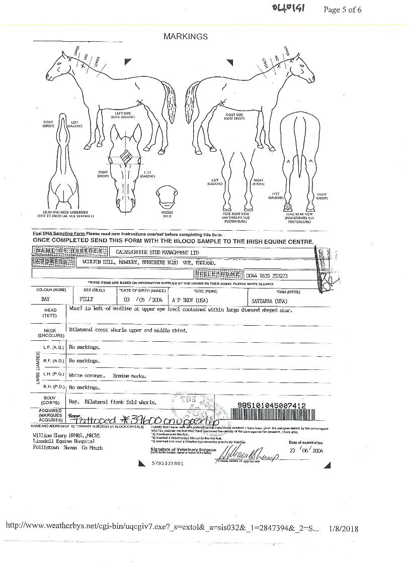 ���������� ����,���,�޸�,�λ�,�ٸ��� Ư¡����