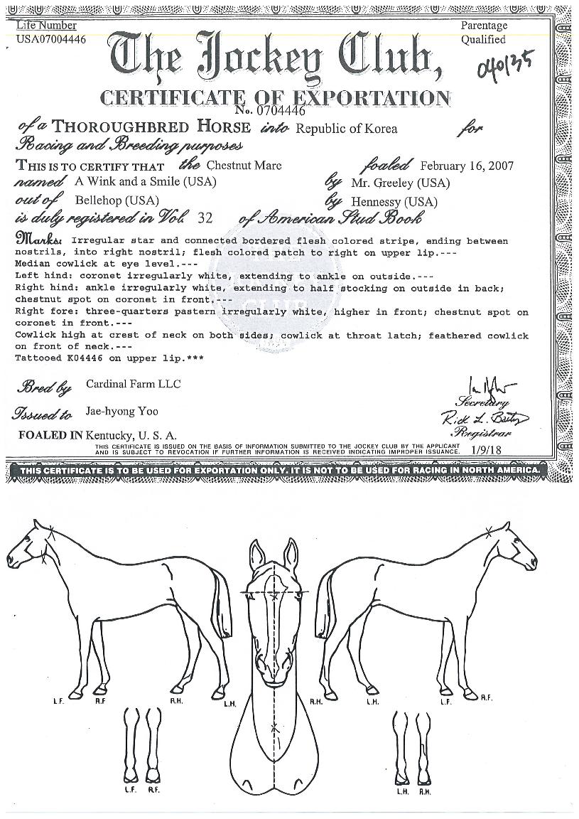 ����ũ�ؾ������ ����,���,�޸�,�λ�,�ٸ��� Ư¡����