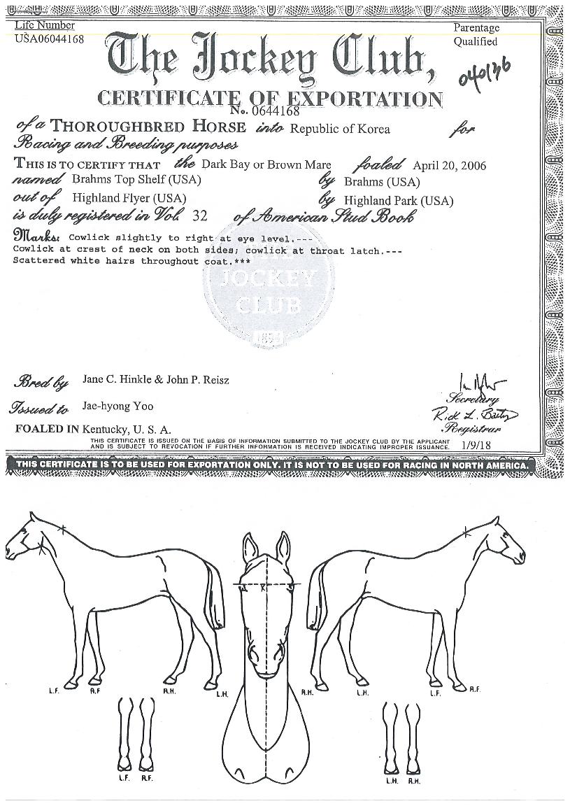 ������������ ����,���,�޸�,�λ�,�ٸ��� Ư¡����