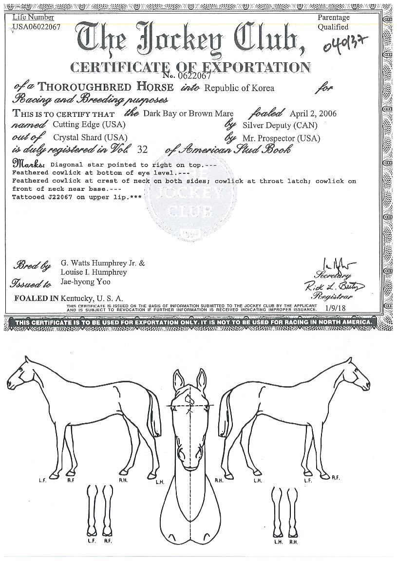 Ŀ�ÿ����� ����,���,�޸�,�λ�,�ٸ��� Ư¡����