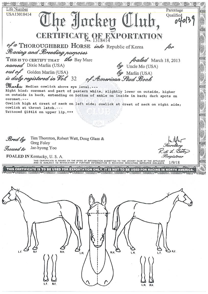 ��ø����� ����,���,�޸�,�λ�,�ٸ��� Ư¡����