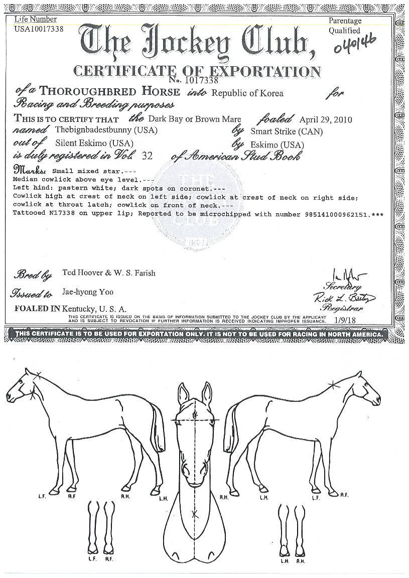 ´õºò¾Ø¹èµð½ºÆ®¹öÀÇ Ãø¸é,¿ì¸é,µÞ¸é,µÎ»ó,´Ù¸®ÀÇ Æ¯Â¡µµÇØ