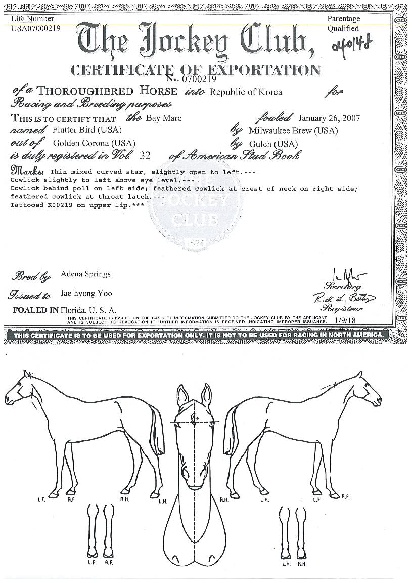 Ç÷¯Å͹öµåÀÇ Ãø¸é,¿ì¸é,µÞ¸é,µÎ»ó,´Ù¸®ÀÇ Æ¯Â¡µµÇØ