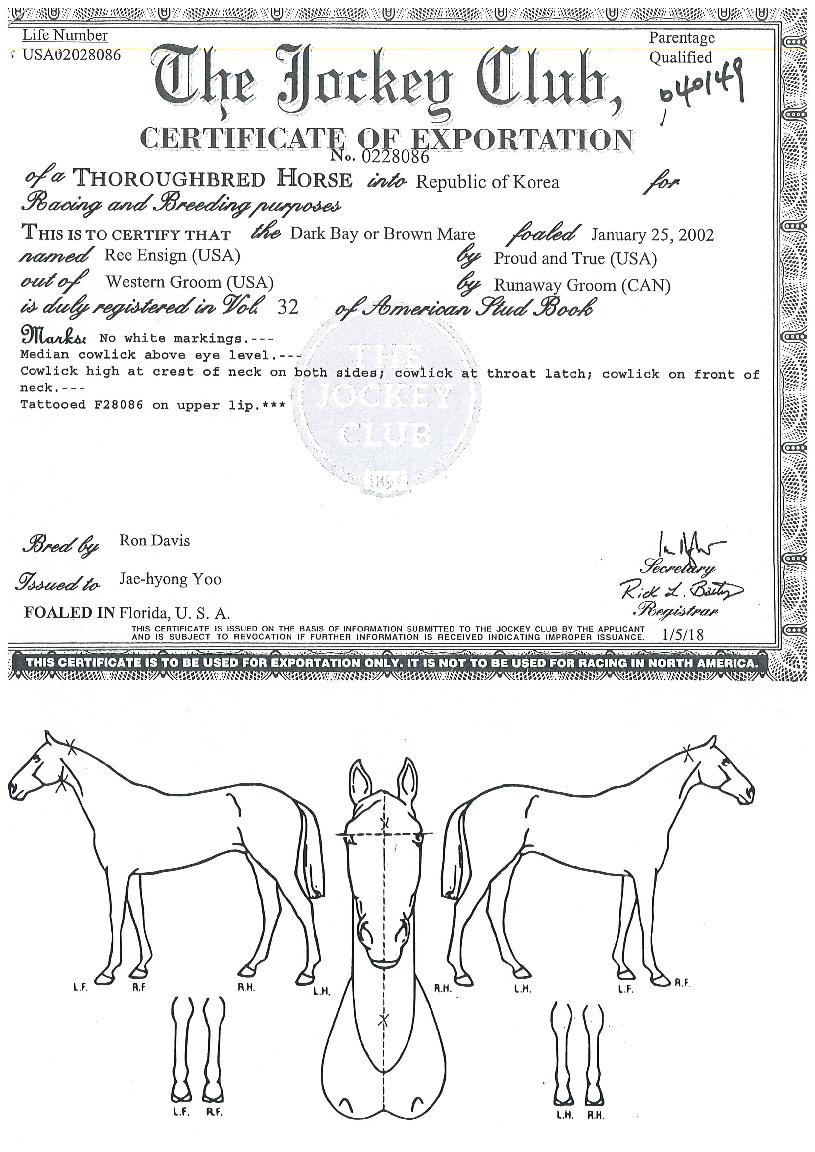 �������� ����,���,�޸�,�λ�,�ٸ��� Ư¡����