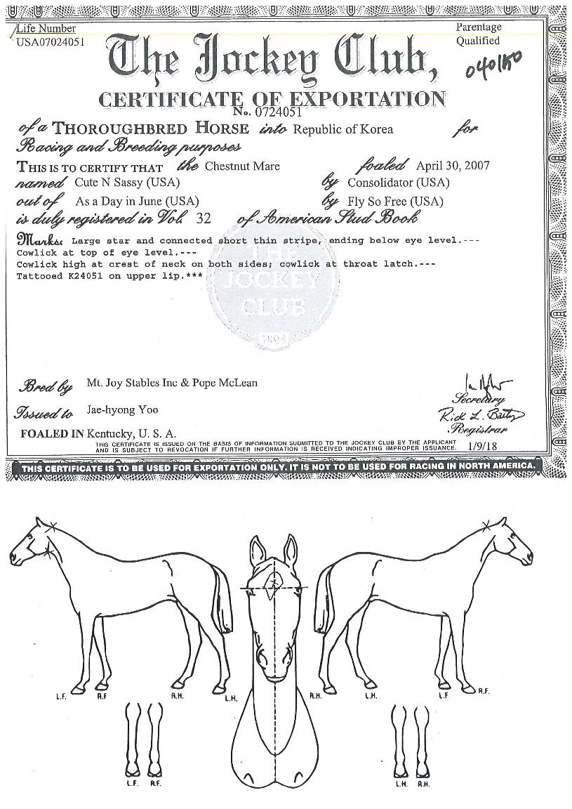 ťƮ�ػ����� ����,���,�޸�,�λ�,�ٸ��� Ư¡����