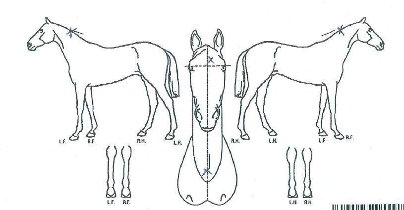 ���ߴ�Ʋ���� ����,���,�޸�,�λ�,�ٸ��� Ư¡����