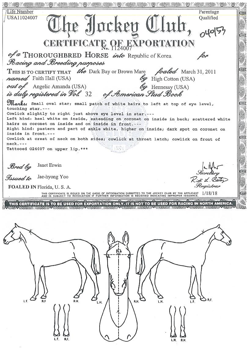 ÆäÀ̽ºÈ¦ÀÇ Ãø¸é,¿ì¸é,µÞ¸é,µÎ»ó,´Ù¸®ÀÇ Æ¯Â¡µµÇØ