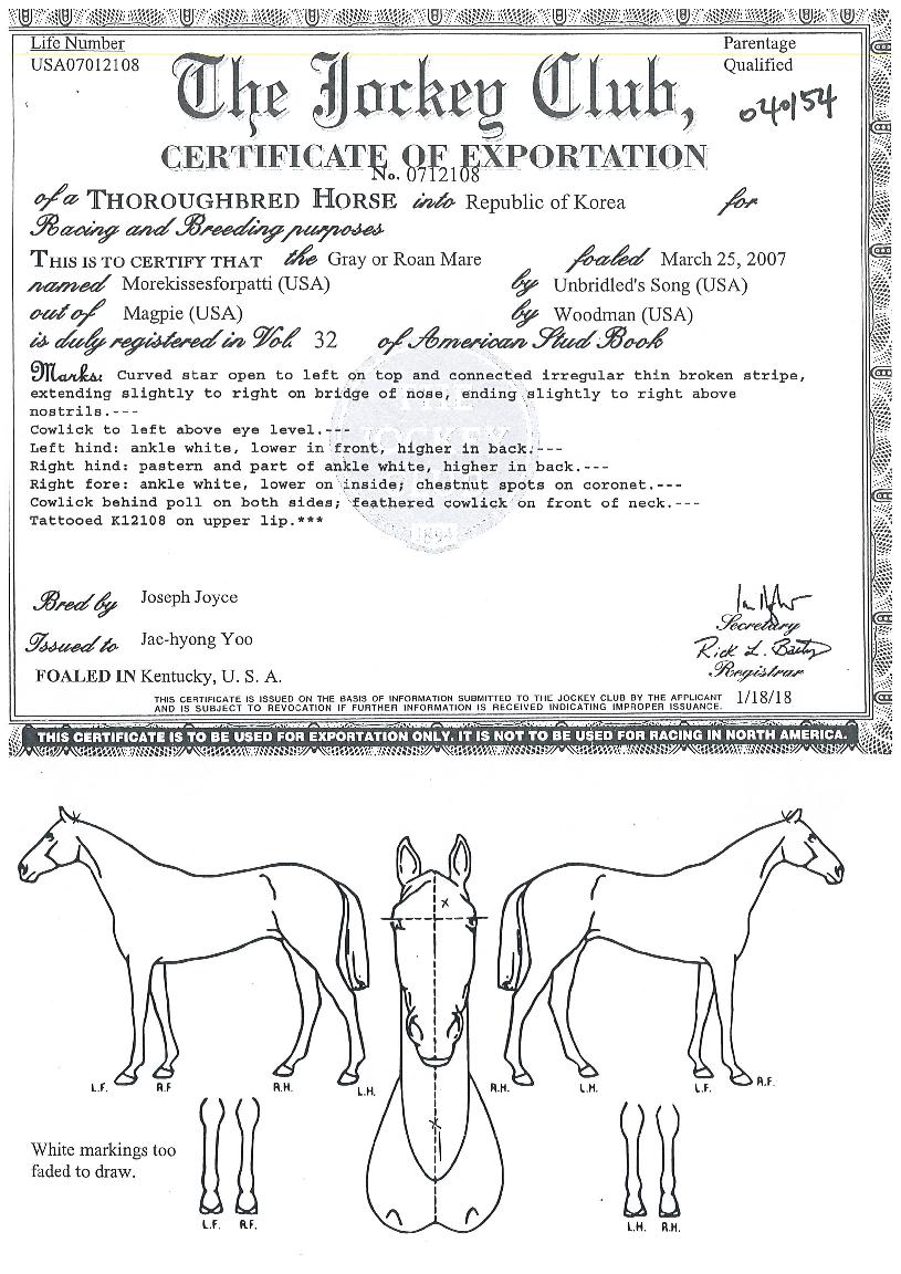 ¸ð¾îŰ½ÃÁîÆ÷ÆÐƼÀÇ Ãø¸é,¿ì¸é,µÞ¸é,µÎ»ó,´Ù¸®ÀÇ Æ¯Â¡µµÇØ