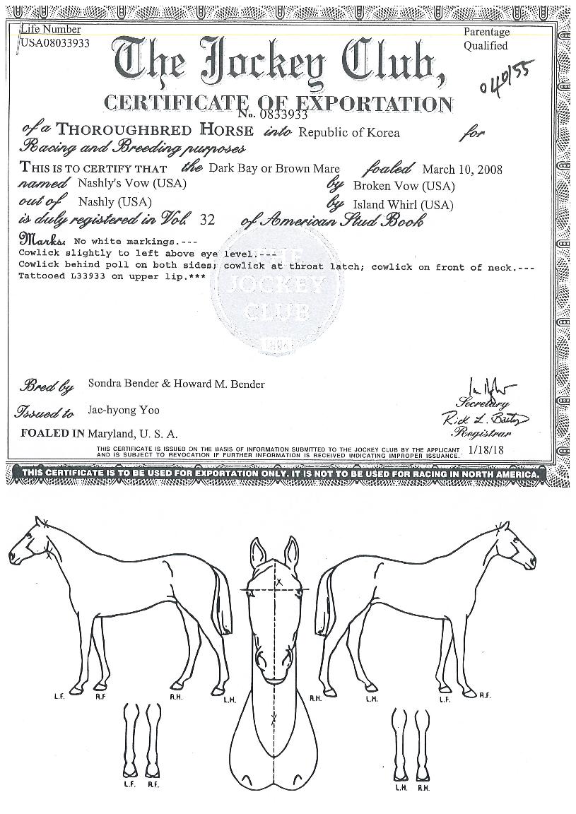 ��������ٿ��� ����,���,�޸�,�λ�,�ٸ��� Ư¡����