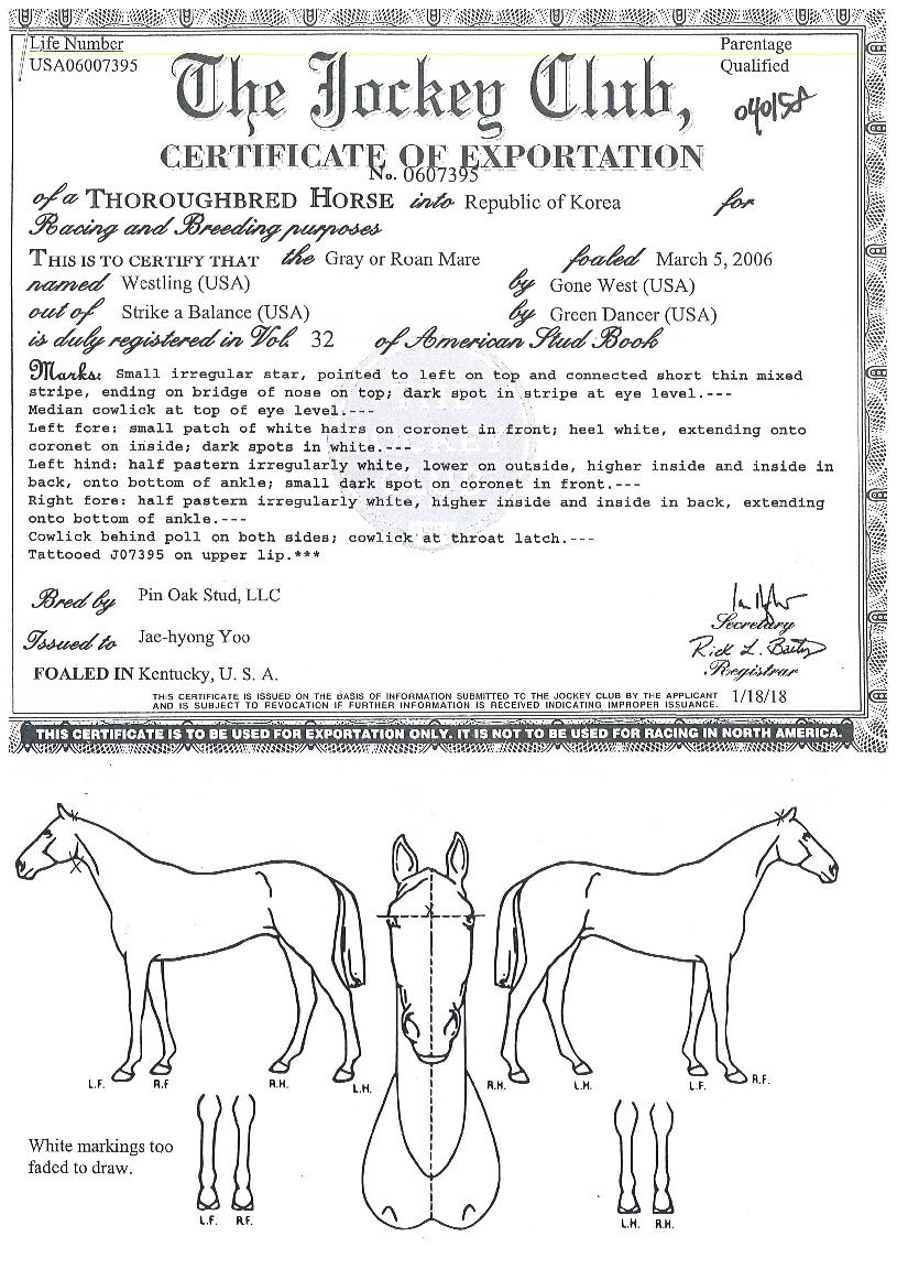 �������� ����,���,�޸�,�λ�,�ٸ��� Ư¡����