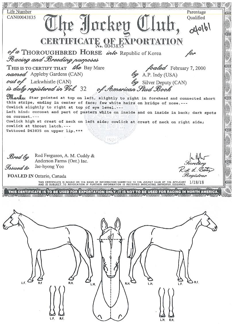 ���ú񰡵����� ����,���,�޸�,�λ�,�ٸ��� Ư¡����