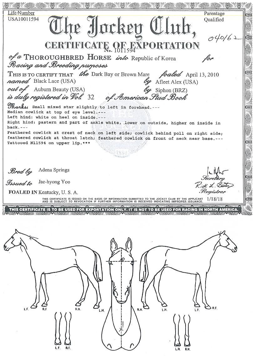 �������̽��� ����,���,�޸�,�λ�,�ٸ��� Ư¡����