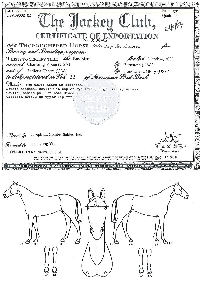 Â÷¹Öºò¼¾ÀÇ Ãø¸é,¿ì¸é,µÞ¸é,µÎ»ó,´Ù¸®ÀÇ Æ¯Â¡µµÇØ