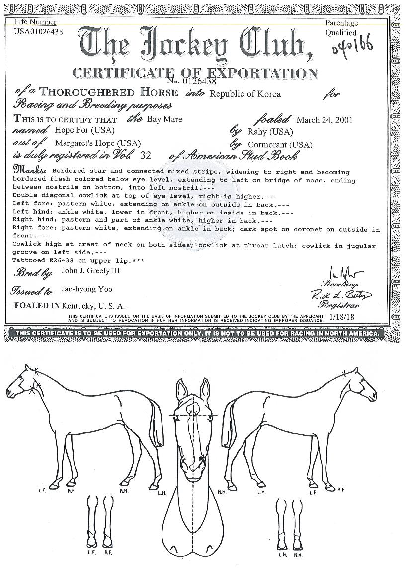 È£ÇÁÆ÷ÀÇ Ãø¸é,¿ì¸é,µÞ¸é,µÎ»ó,´Ù¸®ÀÇ Æ¯Â¡µµÇØ