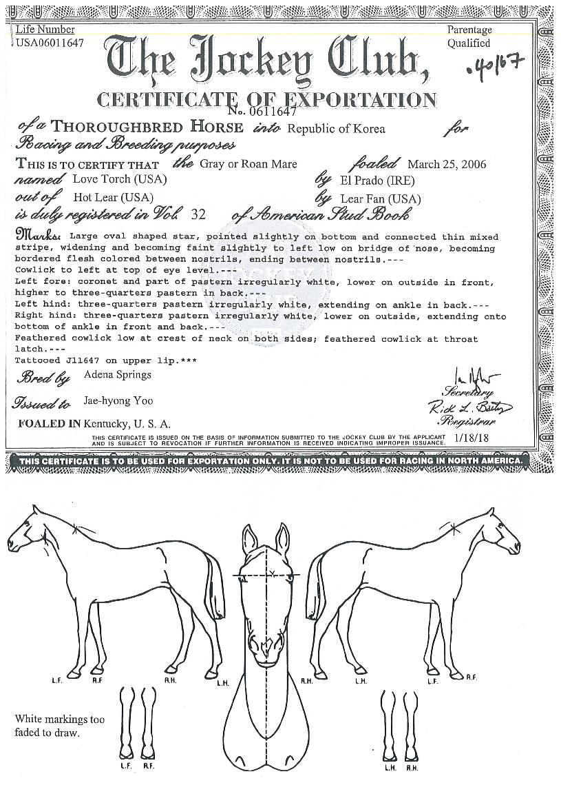 ·¯ºêÅä¾îÄ¡ÀÇ Ãø¸é,¿ì¸é,µÞ¸é,µÎ»ó,´Ù¸®ÀÇ Æ¯Â¡µµÇØ