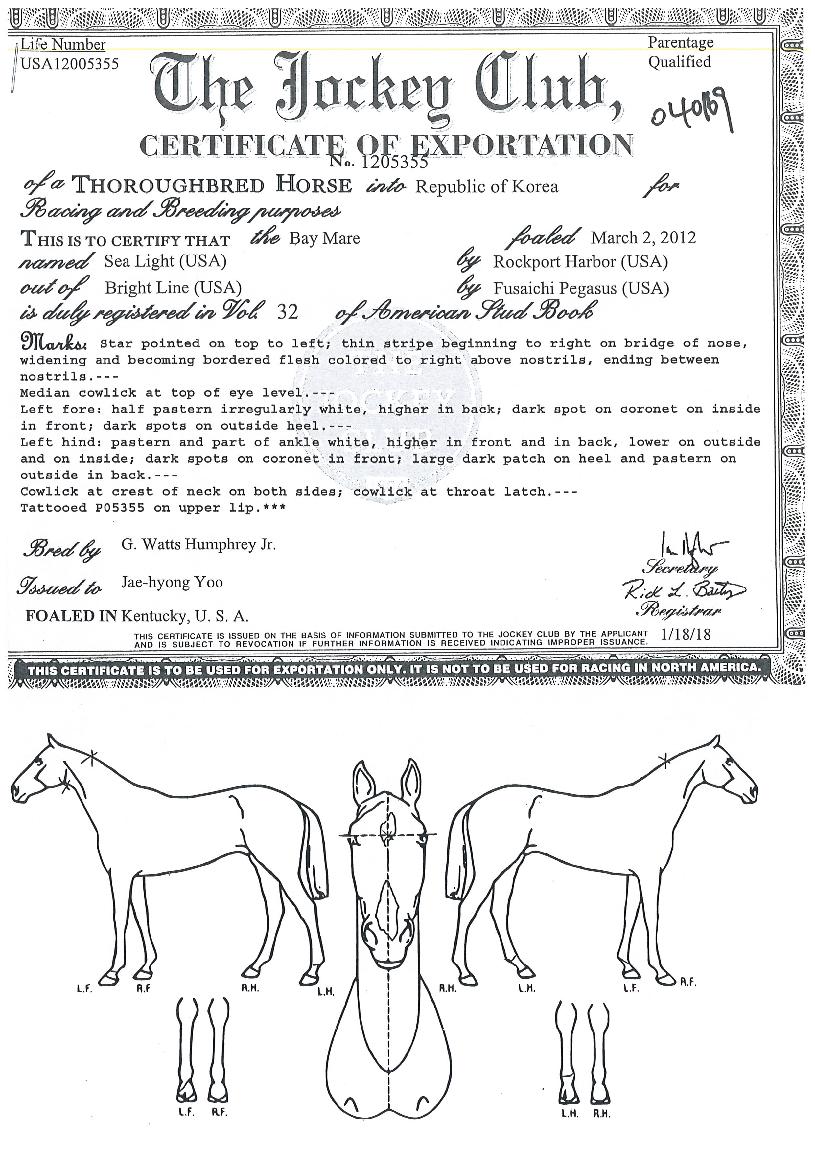 ½Ã¶óÀÌÆ®ÀÇ Ãø¸é,¿ì¸é,µÞ¸é,µÎ»ó,´Ù¸®ÀÇ Æ¯Â¡µµÇØ