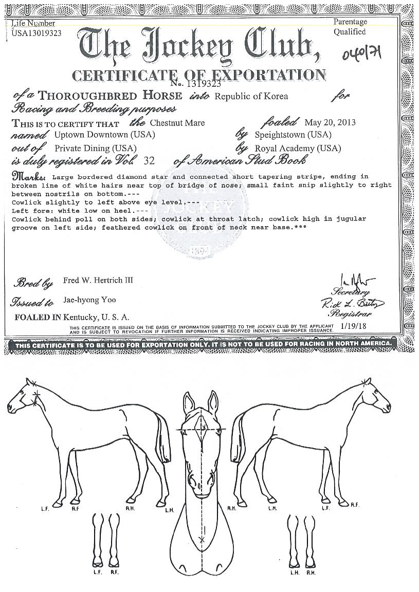 ��Ÿ��ٿ�Ÿ���� ����,���,�޸�,�λ�,�ٸ��� Ư¡����