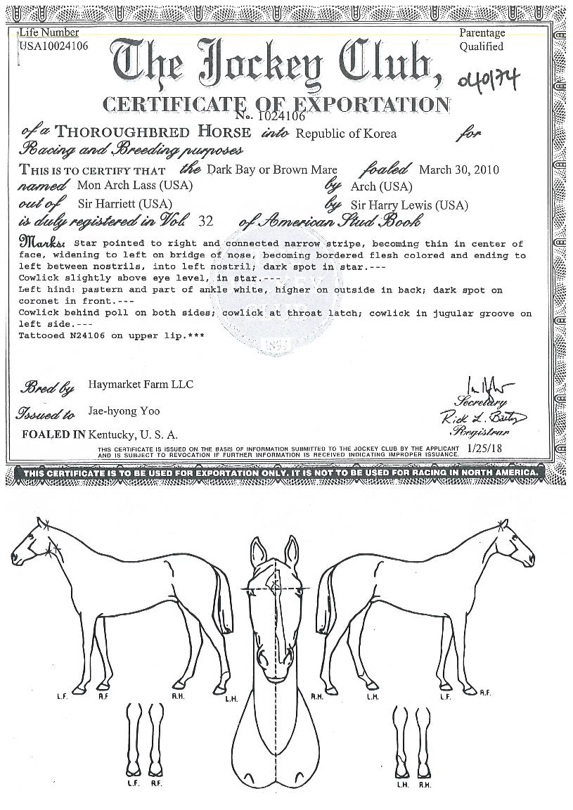 ¸ó¾ÆÄ¡¶ó½ºÀÇ Ãø¸é,¿ì¸é,µÞ¸é,µÎ»ó,´Ù¸®ÀÇ Æ¯Â¡µµÇØ