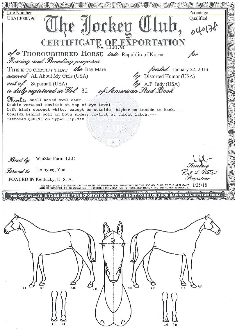 �þ�ٿ����̰����� ����,���,�޸�,�λ�,�ٸ��� Ư¡����