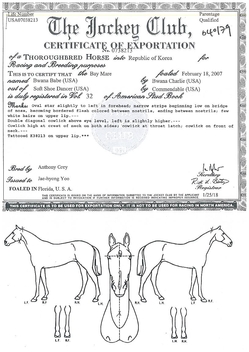 ºê¿Í³ªº£À̺êÀÇ Ãø¸é,¿ì¸é,µÞ¸é,µÎ»ó,´Ù¸®ÀÇ Æ¯Â¡µµÇØ