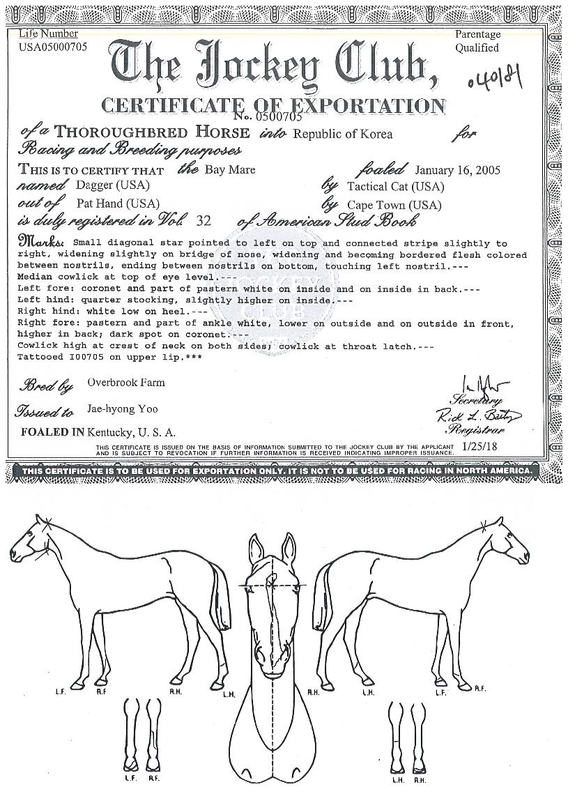 ´ë°ÅÀÇ Ãø¸é,¿ì¸é,µÞ¸é,µÎ»ó,´Ù¸®ÀÇ Æ¯Â¡µµÇØ