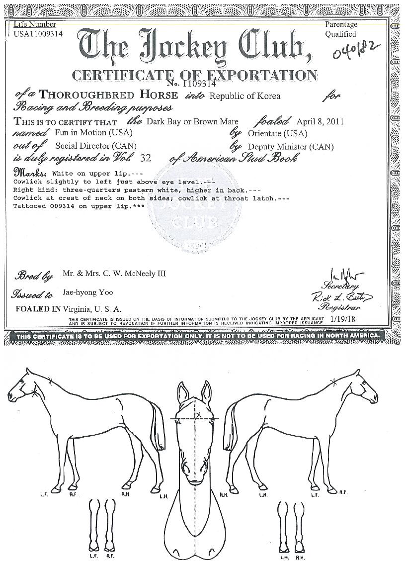 ���θ���� ����,���,�޸�,�λ�,�ٸ��� Ư¡����