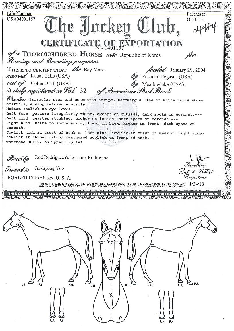 ī����������� ����,���,�޸�,�λ�,�ٸ��� Ư¡����