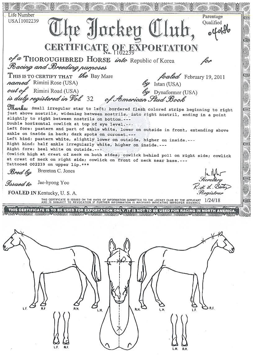 ¸®¹Ì´Ï·ÎÁîÀÇ Ãø¸é,¿ì¸é,µÞ¸é,µÎ»ó,´Ù¸®ÀÇ Æ¯Â¡µµÇØ